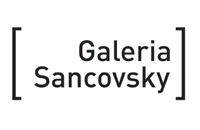 Galeria Sancovsky